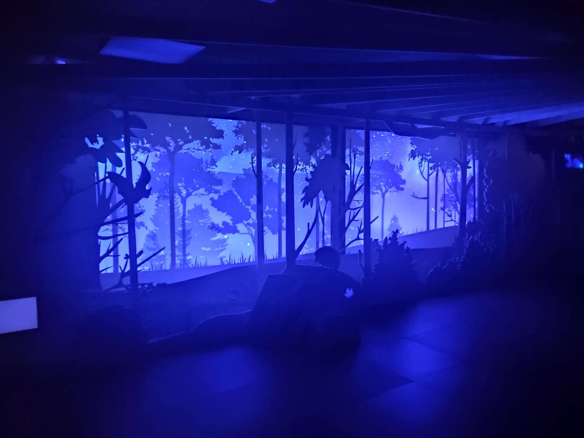 Zdjęcie przedstawiające salę nocną w niebieskiej poświacie - ekspozycję stałą w CEE Symbioza