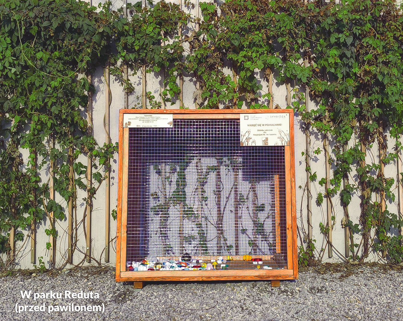 Zdjęcie przedstawiające drewnianą skrzynię na plastikowe nakrętki w parku Reduta - akcja charytatywna CEE Symbioza